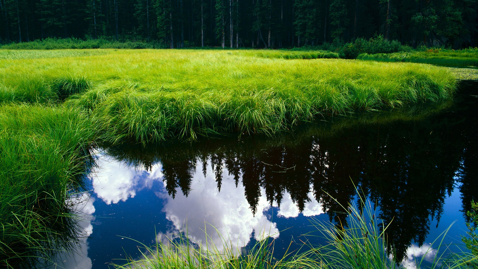 AYX GAME-_涵盖多项运动的多元竞技节：网球+射箭+跑酷_，seedsports网球运动