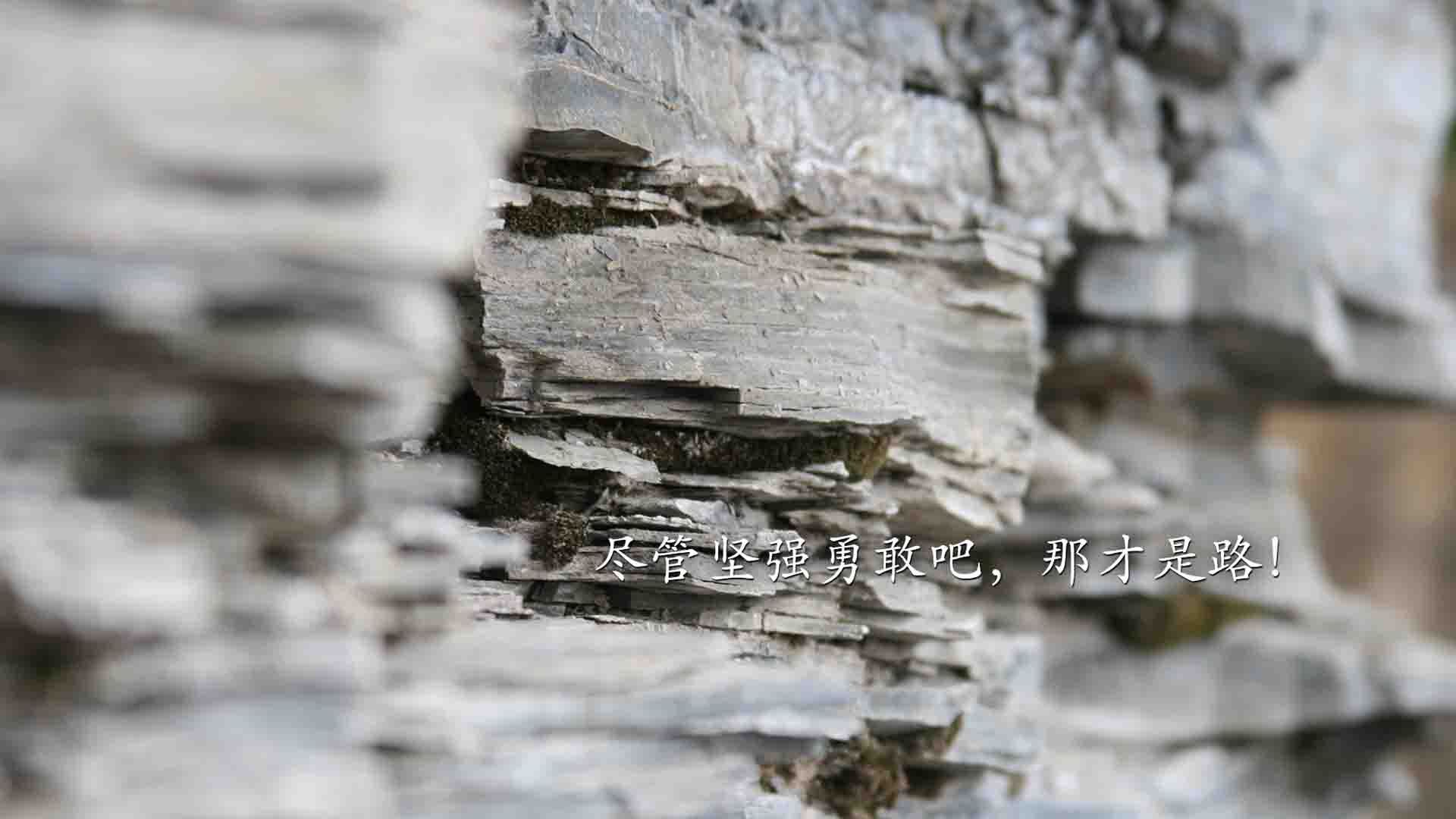 爱游戏-战术风云：教练的战术布置和调整分析，战术教练怎么添加