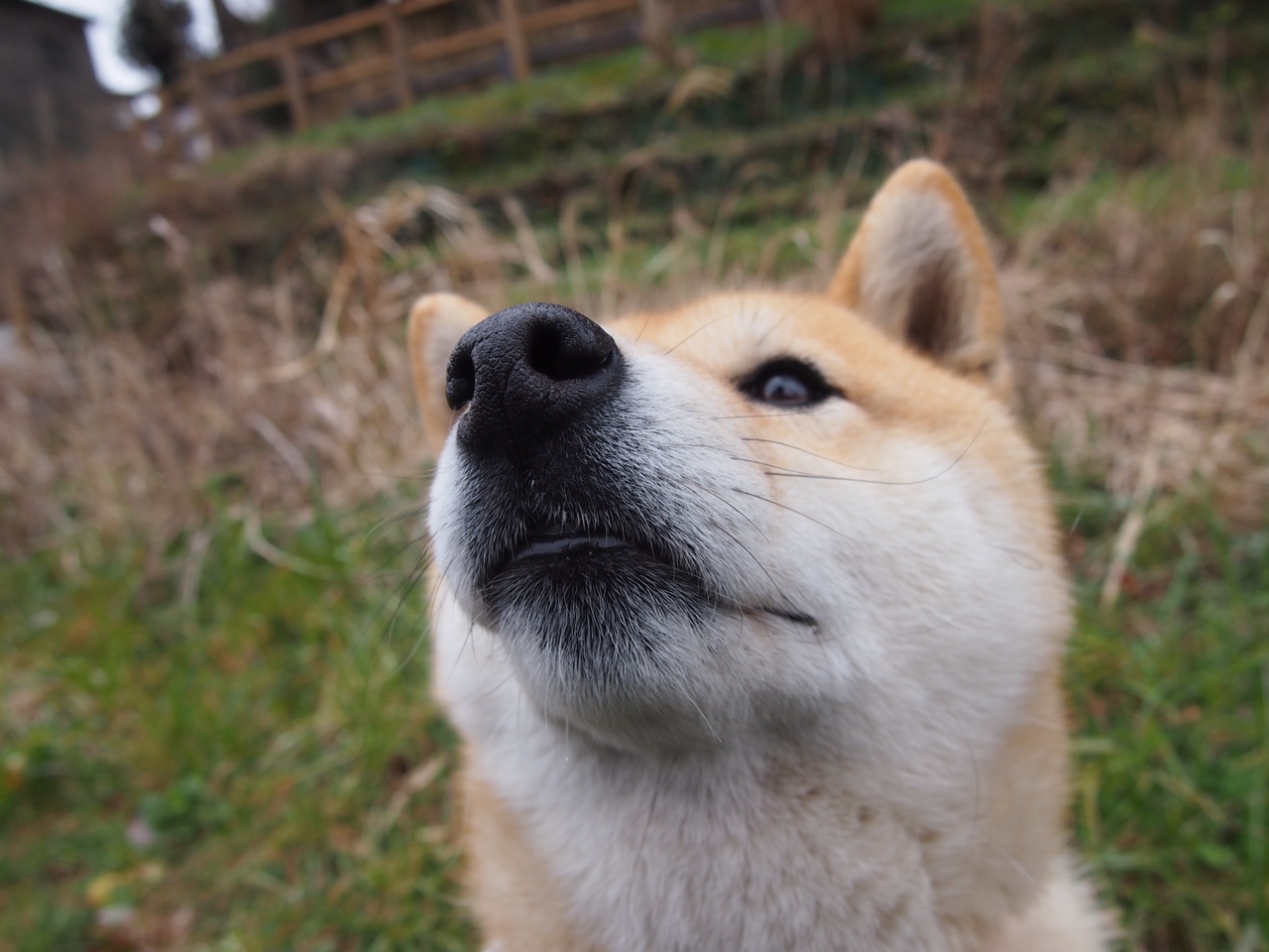未来十年:打造世界一流足球强国战略解读,未来足球发展