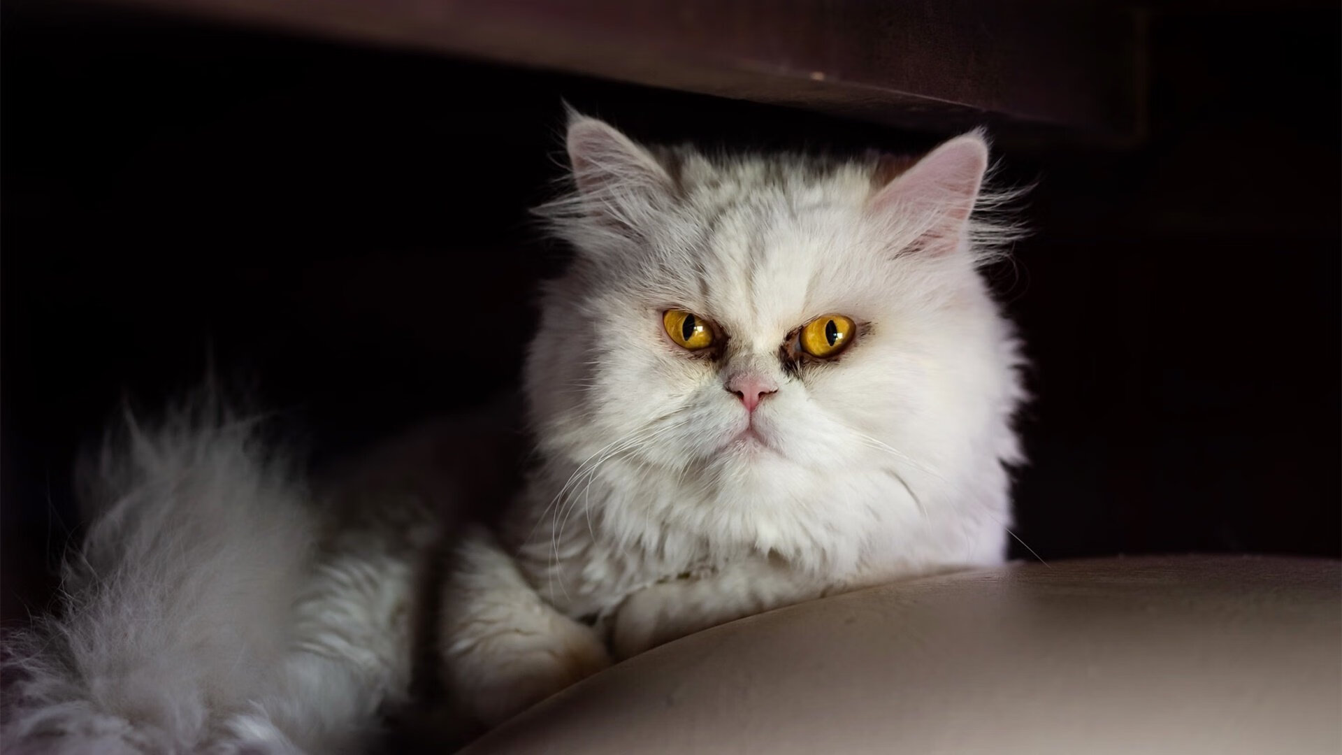 爱游戏官方网站-绿色环保足球场馆成为新宠，行业规模不断扩大，足球场绿地