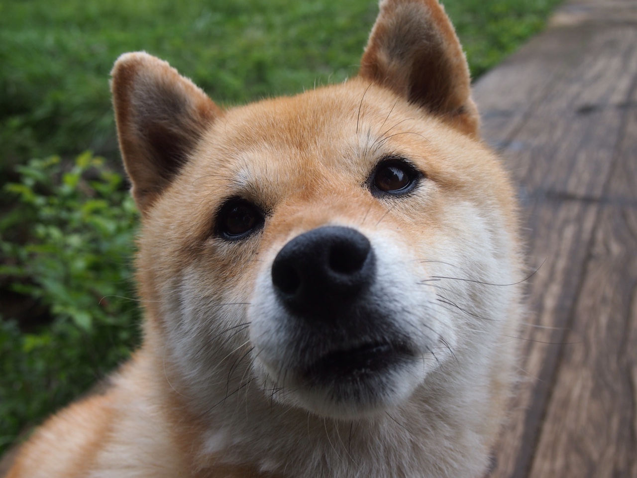 勇士主场大胜,击败快船保持不败纪录,勇士主场大胜,击败快船保持不败纪录的是谁