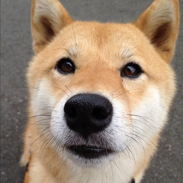 爱游戏登录入口-墨西哥女足未能晋级，小组赛出局，墨西哥女足比分