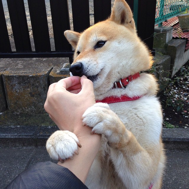 足球比赛中谁将成为冠军的最有力争夺者？，足球获得比赛冠军最多的球员