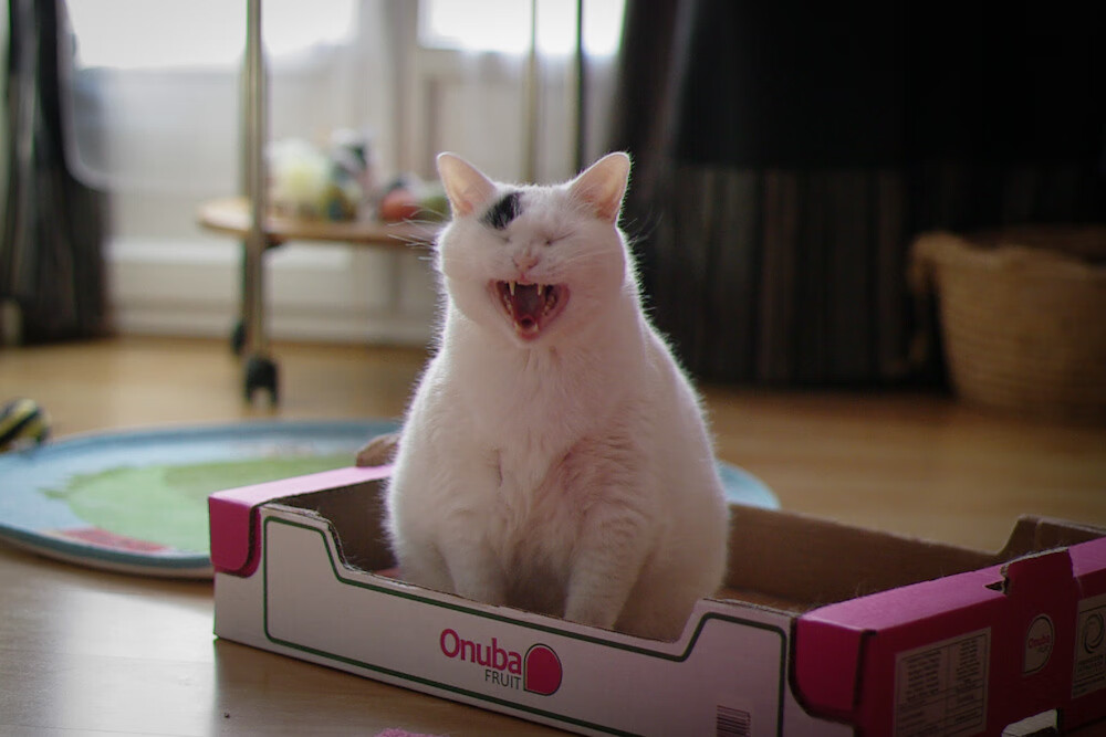 韩国星际争霸赛事与文化融合发展,韩国星际争霸球赛