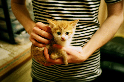 爱游戏下载-NBA球队防守篮板控制能力与反击成功率研究，nba防守篮板排行榜