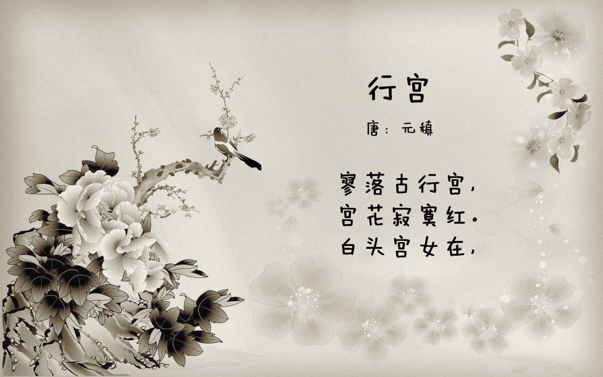 中立B选手该项目分段表现逐步改善，比赛中立是什么意思