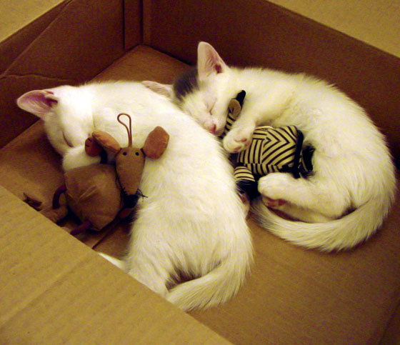 爱游戏体育（AYX）官方APP下载-对手战术研究报告出炉为即将到来的对决做好充分准备，对手与对手之间的较量