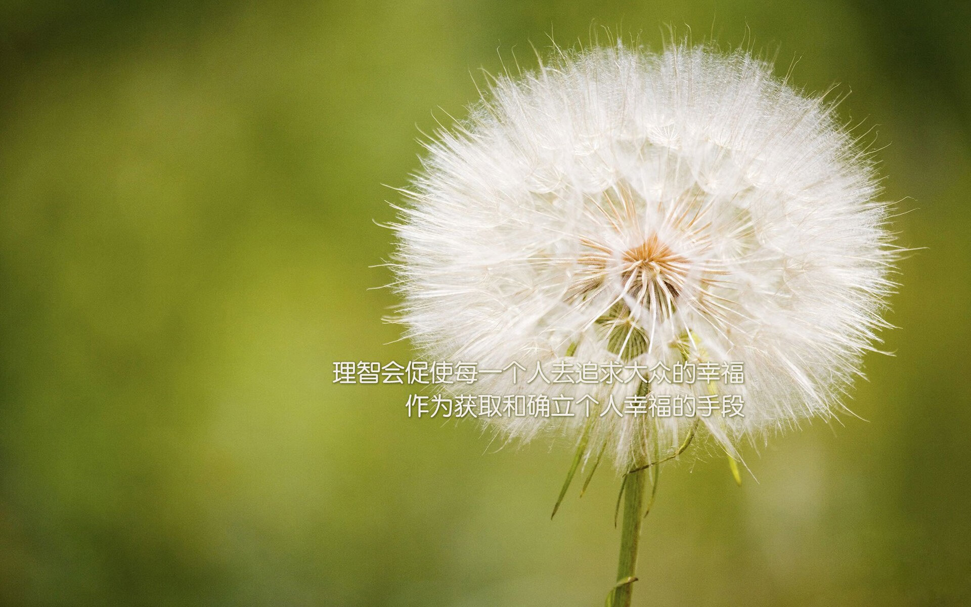 斯洛伐克男篮在欧洲大赛中奋发图强,追求国际最高荣誉,斯洛伐克队欧洲杯大名单