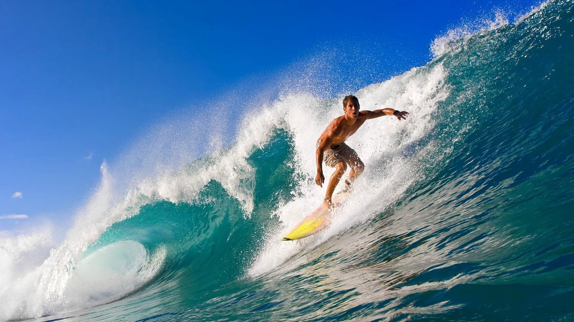 爱游戏体育（AYX）官方APP下载-WRC赛车调校：性能提升新技术盘点，wrc赛车数据